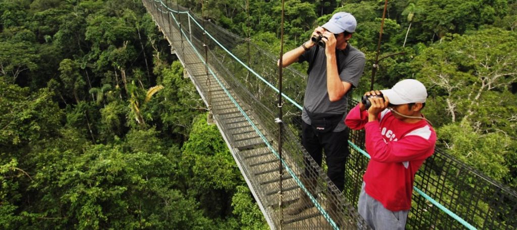 sacha-lodge-canopy-walk